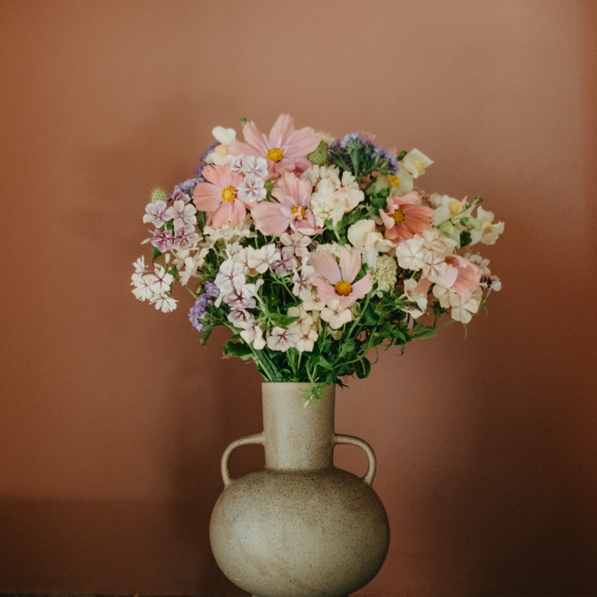 Bon Bon Bouquet Collection, fröer till en bukett i pastellfärger